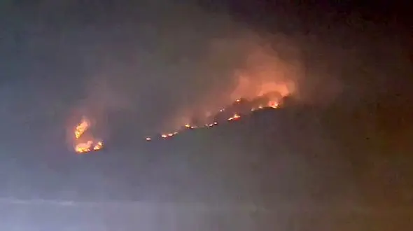 130 هکتار از جنگل های گیلان سوخت / کنترل آتش سوزی ها