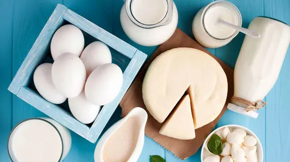 عرضه مستقیم شیر ، ماست و پنیر به مردم + سند