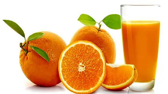 قوی‌ترین آنتی‌بیوتیک‌های طبیعی برای فصل پاییز