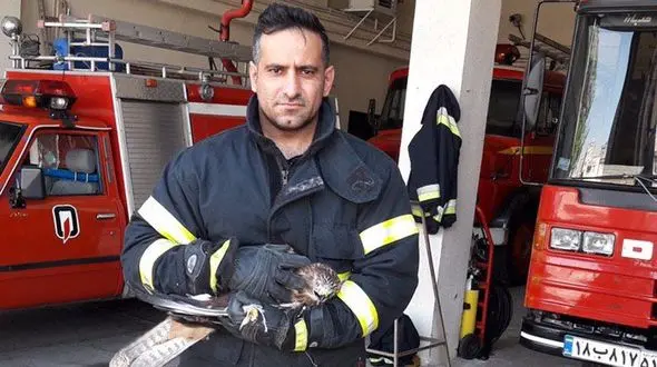 وحشت از عقاب در خانه مرد سنندجی + عکس