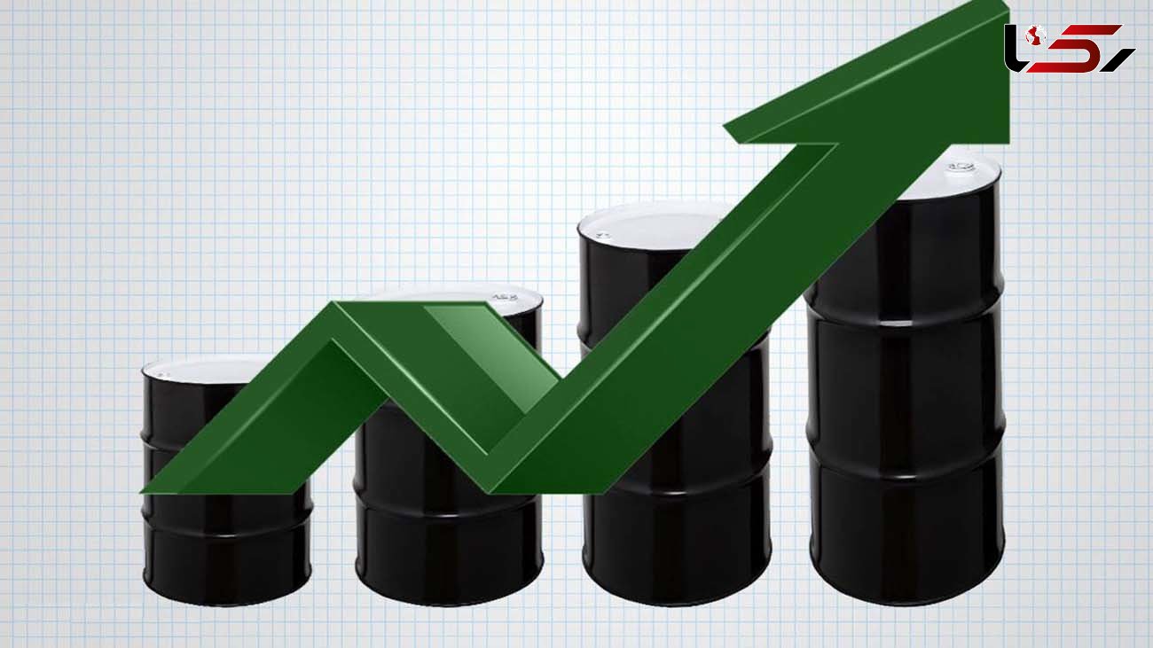قیمت نفت صعودی شد 