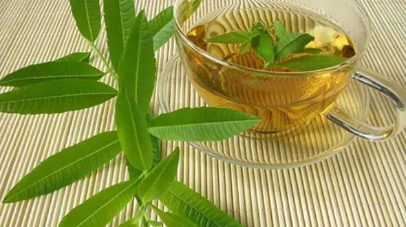 چه افرادی نباید به لیمو بخورند؟