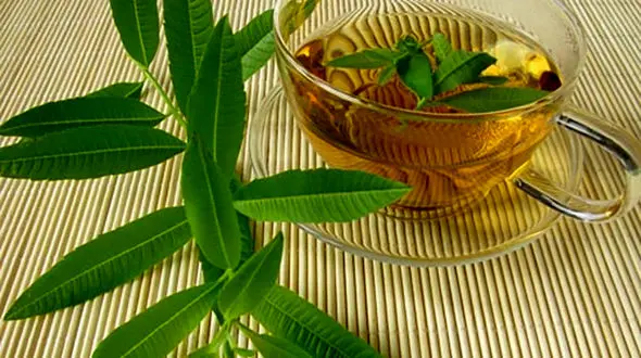 چه افرادی نباید به لیمو بخورند؟