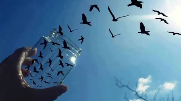 اتفاقی خوب برای یک زندانی در فلاورجان