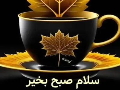 فال و طالع بینی امروز 24 خرداد 1405