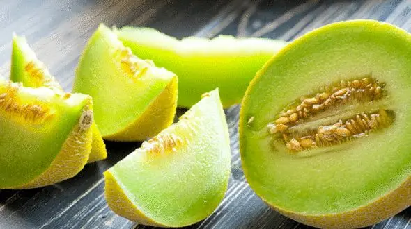 آیا می دانستید طالبی ایرانی لاکچری ترین میوه در جهان است ؟ +  قیمت و عکس باورنکردنی