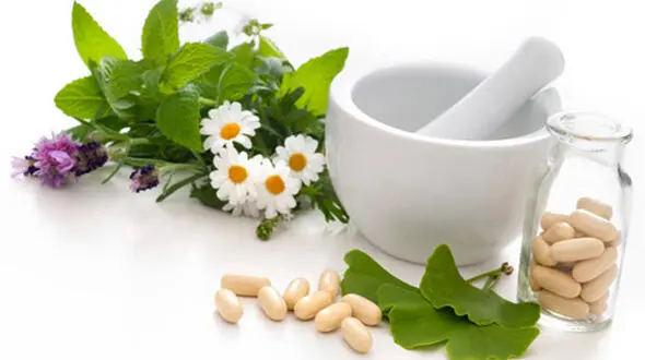 گیاهان دارویی برای درمان گردشگران سلامت