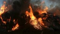 علت آتش‌سوزی جنگل‌های کوهدشت مشخص شد