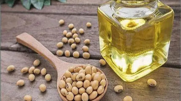 این ماده غذایی سرکوب کننده تومور است