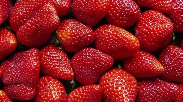 توت فرنگی بهترین دشمن چربی های شکمی 