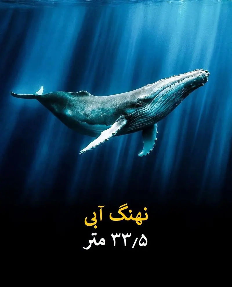 گونه‌های غول پیکر تاریخ زمین