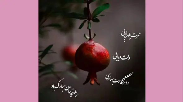 شعرهای شب یلدا + فیلم