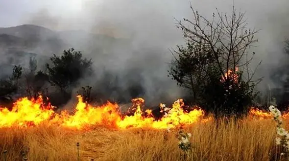  آتش‌سوزی در گیلان بر اثر وزش بادگرم+فیلم 