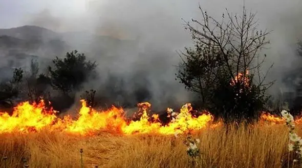  آتش‌سوزی در گیلان بر اثر وزش بادگرم+فیلم 