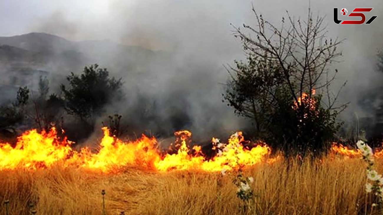  آتش‌سوزی در گیلان بر اثر وزش بادگرم+فیلم 