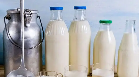 چرا زنان باردار نباید از لبنیات فله ای استفاده کنند؟