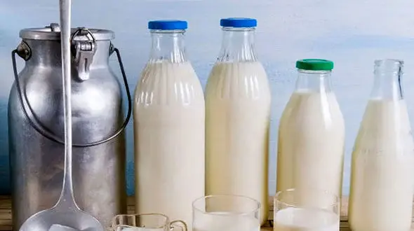 چرا زنان باردار نباید از لبنیات فله ای استفاده کنند؟