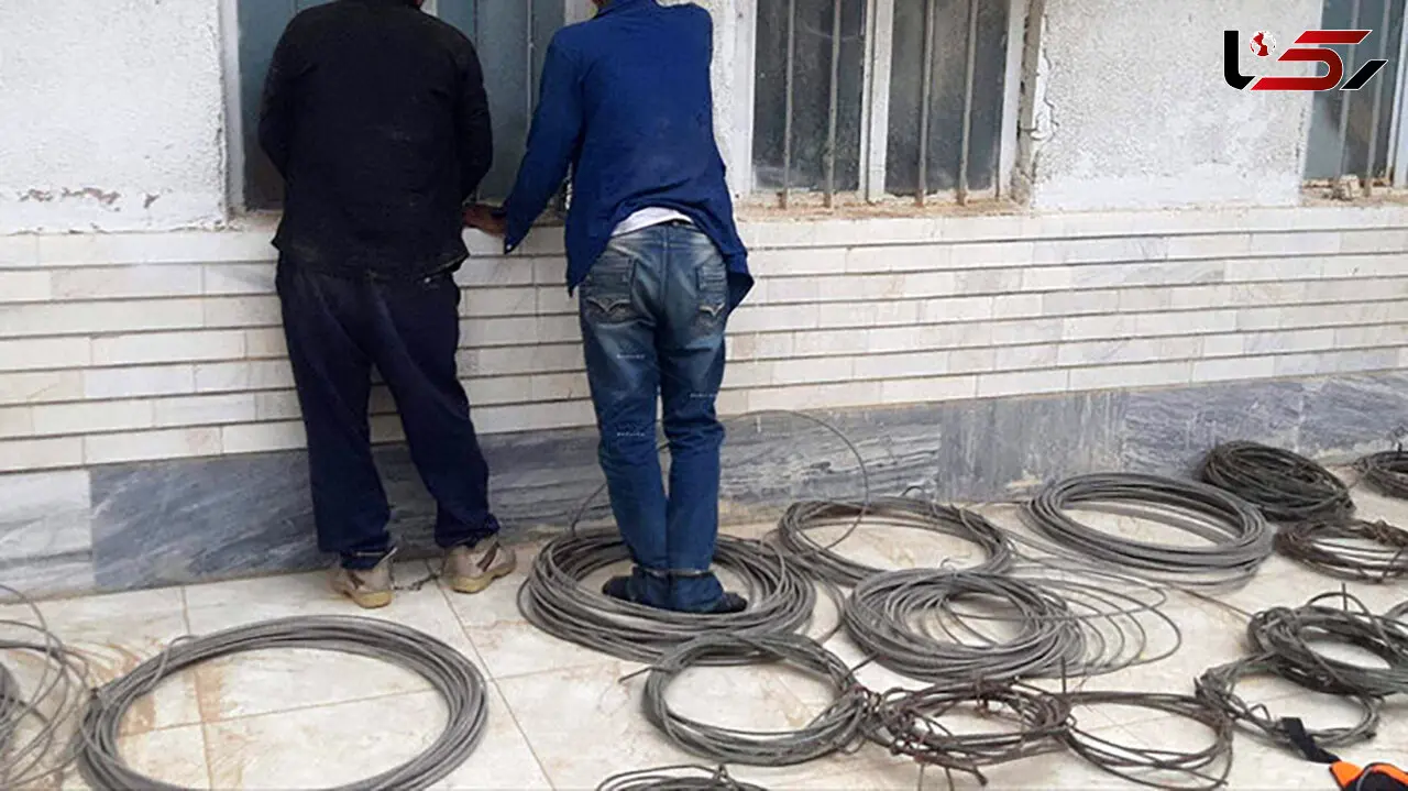 2 مرد برای قطعی برق و تلفن به شاهرود سفر می کردند