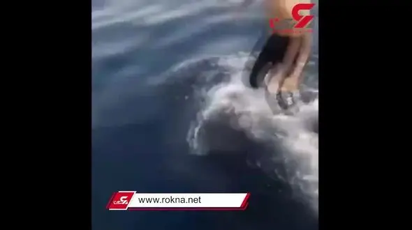 فیلم نهنگ سواری نوجوان ایرانی در خلیج فارس 