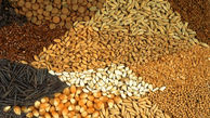 فروشنده بذر تقلبی در دزفول محکوم شد