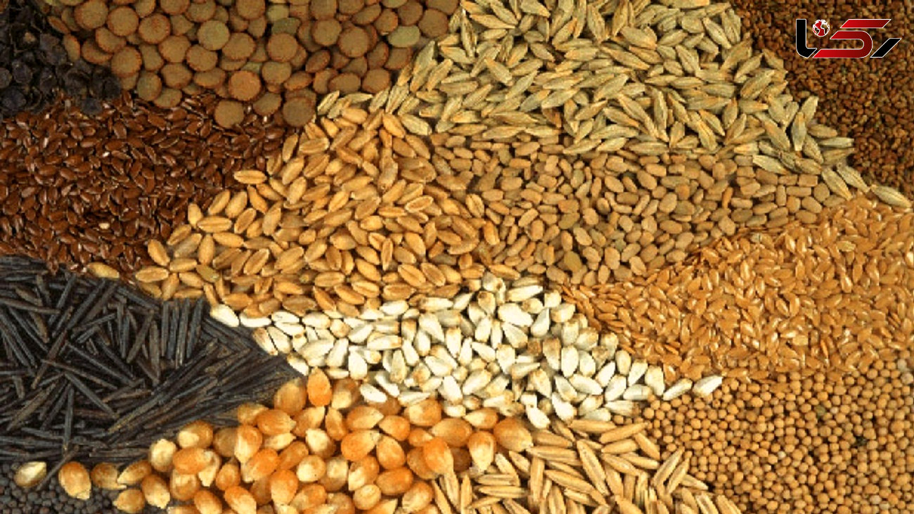 فروشنده بذر تقلبی در دزفول محکوم شد