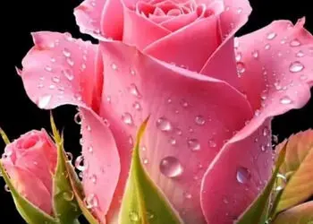 فال ابجد امروز یکشنبه 18 مرداد برای متولدین هر ماه