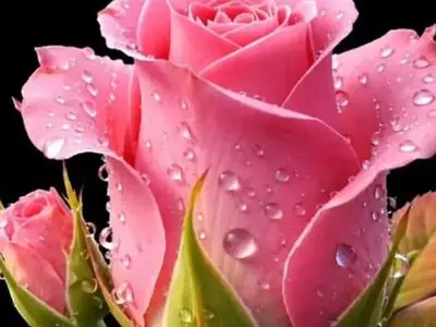 فال ابجد فردا یکشنبه 18 مرداد برای متولدین هر ماه