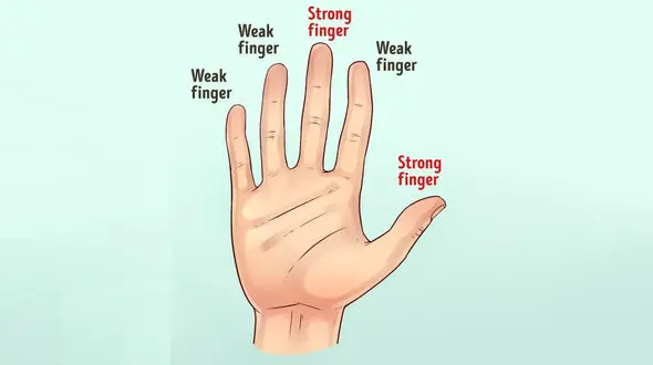 ﺩستﻫﺎ ﺩﺭﺑﺎﺭﻩ ﺳﻼﻣﺖ ﻣﺎ چه می گویند؟