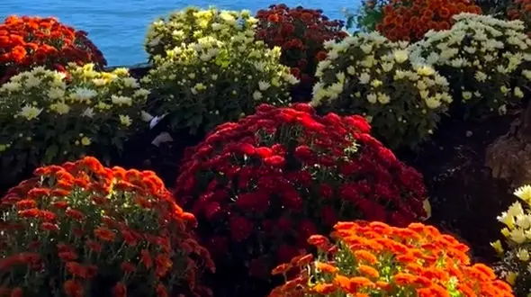 امروز سختی داشته باش / فردا استراحت