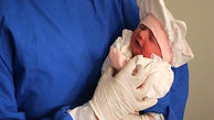 تولد نوزاد عجول کاشانی در خانه