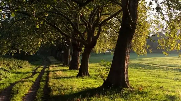 قدردان لحظه‌ها باش؛ زندگی در همین حال جریان دارد
