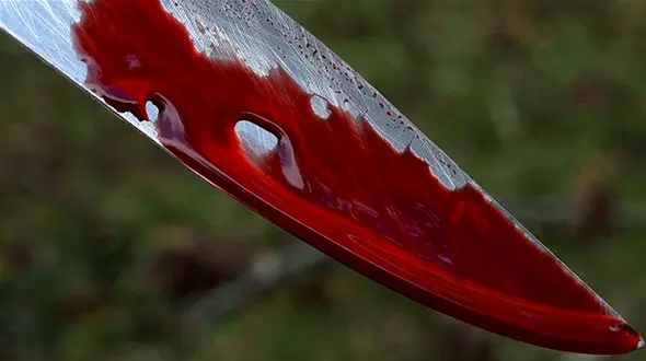  قتل خونین راننده کامیون عراقی در مرز باشماق مریوان / انگیزه چه بود ؟