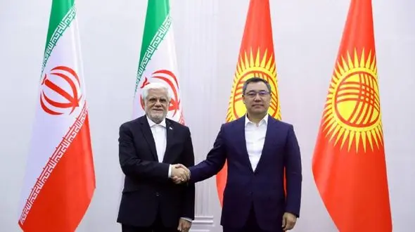 همکاری و همبستگی کشورهای منطقه به بالارفتن ضریب امنیت در مقابل تهدیدات خارجی کمک می کند