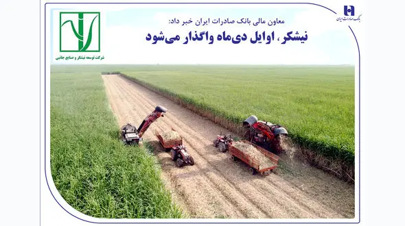 «نیشکر» اوایل دی‌ماه واگذار می‌شود