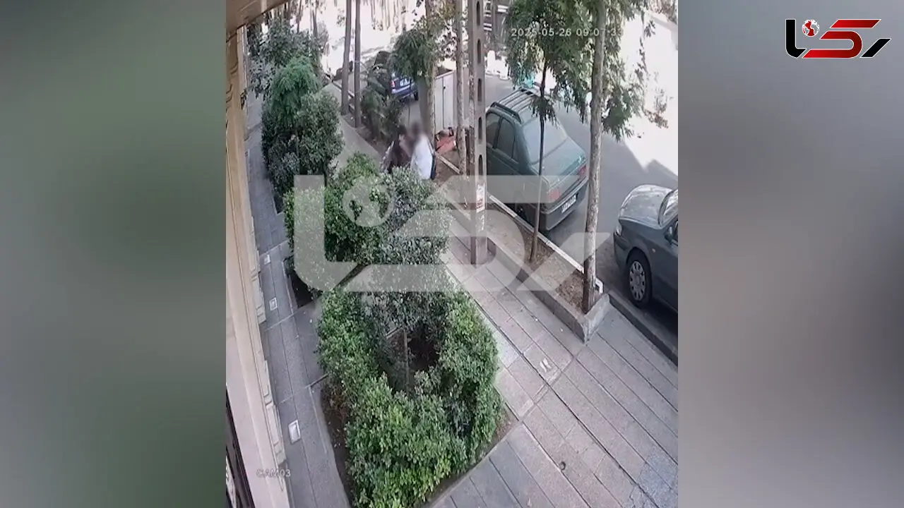 گفتگو با دختر تهرانی که با موبایل قاپ درگیر شد + فیلم صحنه سرقت در خیابان شریعتی 