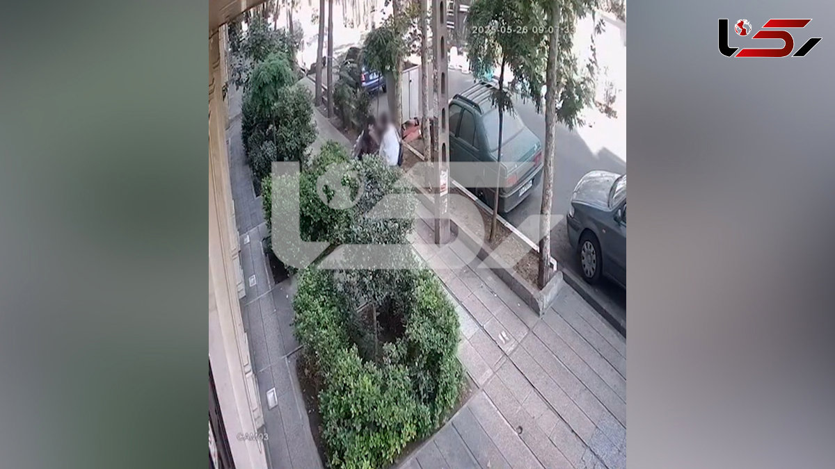  گفتگو با دختر تهرانی که با موبایل قاپ درگیر شد + فیلم صحنه سرقت در خیابان شریعتی 