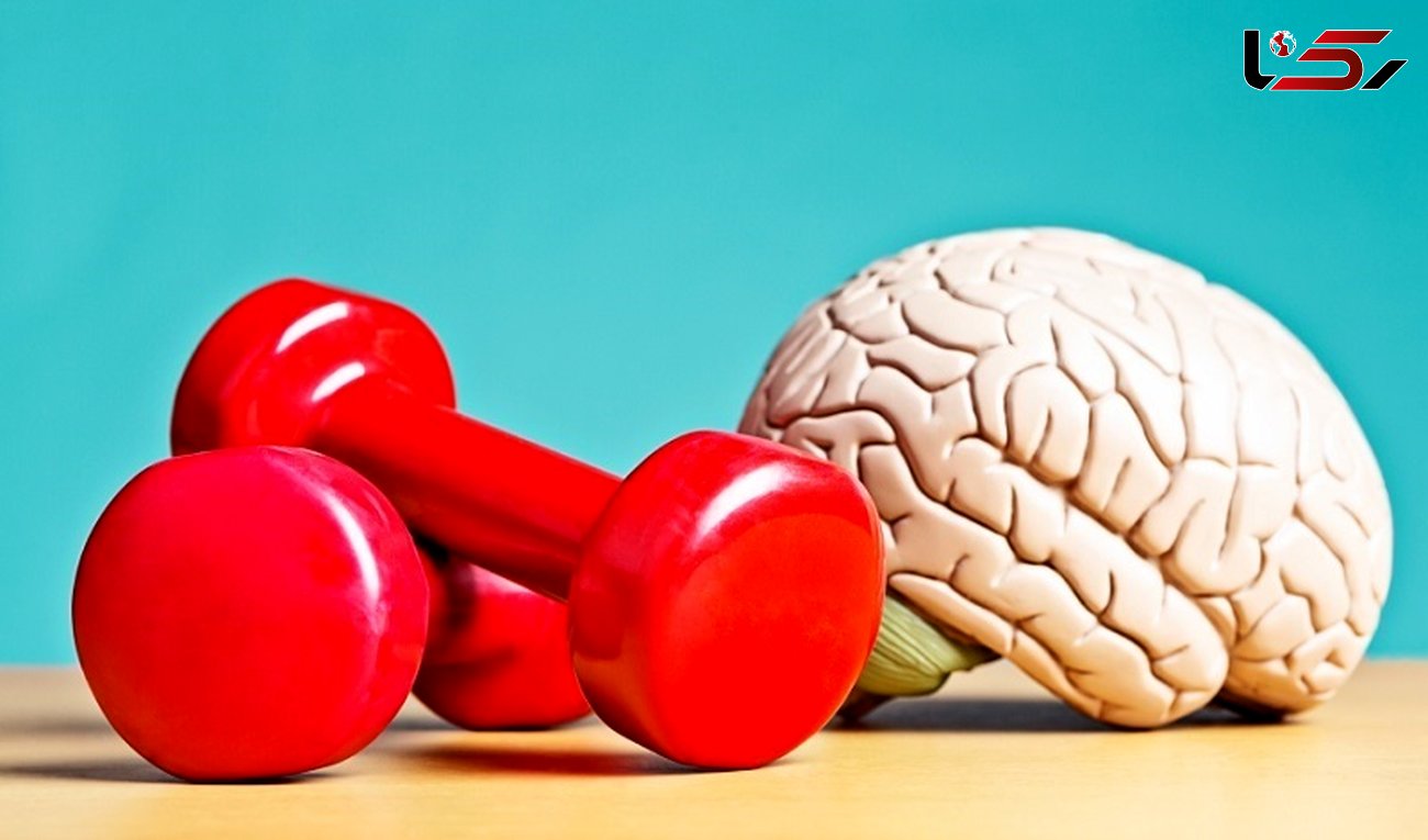 7 عامل کلیدی برای حفظ عملکرد مطلوب مغز با افزایش سن
