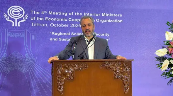  ریشه‌ بسیاری از مهاجرت‌ها اقتصادی است/  ۴ میلیون و ۵۰۰ هزار افغانستانی در کشور حضور دارند