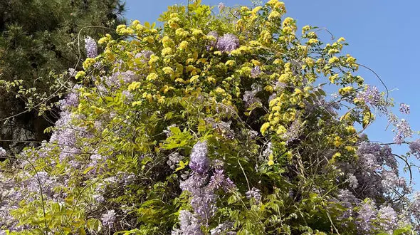 فال ابجد امروز / 23 فروردین