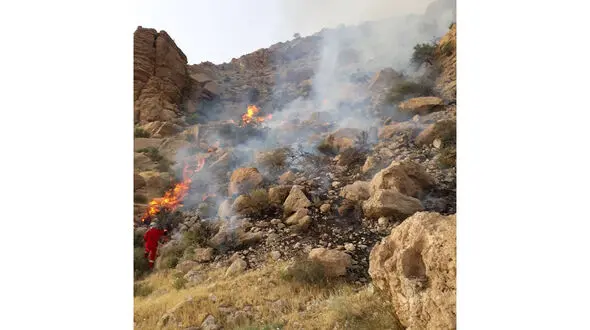 آتش سوزی وحشتناک مراتع در بوشهر + فیلم