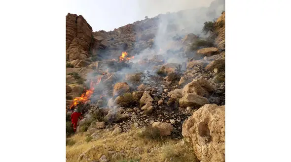 آتش سوزی وحشتناک مراتع در بوشهر + فیلم