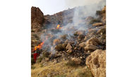 آتش سوزی وحشتناک مراتع در بوشهر + فیلم