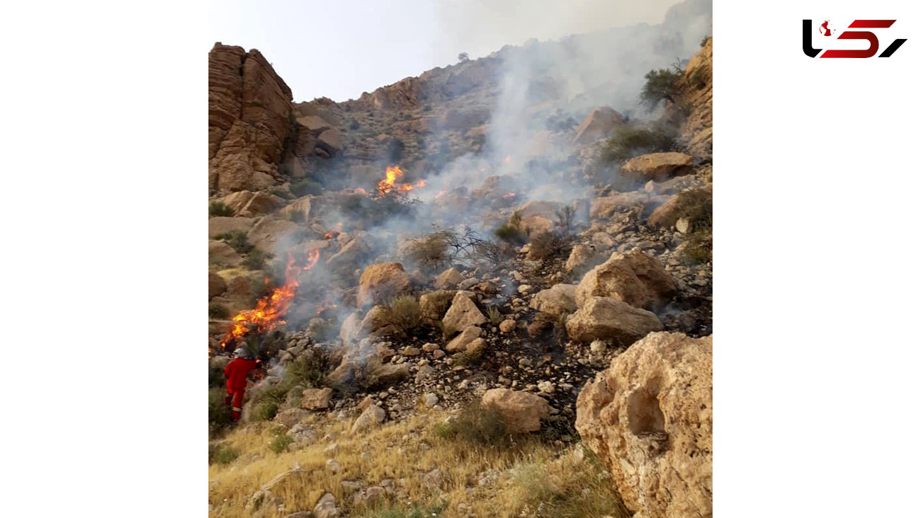 آتش سوزی وحشتناک مراتع در بوشهر + فیلم
