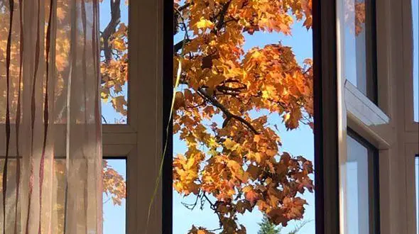 فال و طالع بینی 21 مهر 