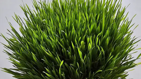 خلاصه ای از سیزده‌ بدر + فیلم
