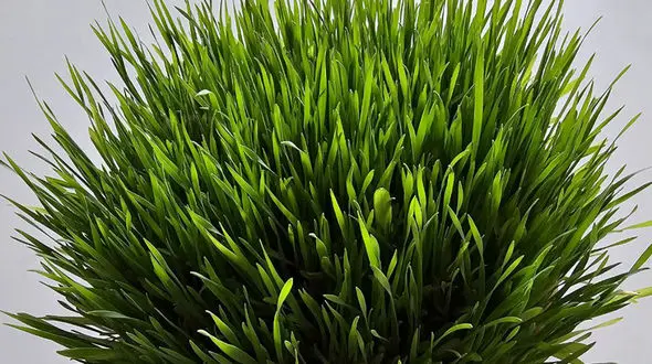 خلاصه ای از سیزده‌ بدر + فیلم