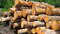 دستگیری قاچاقچیان چوب های جنگلی در گیلان