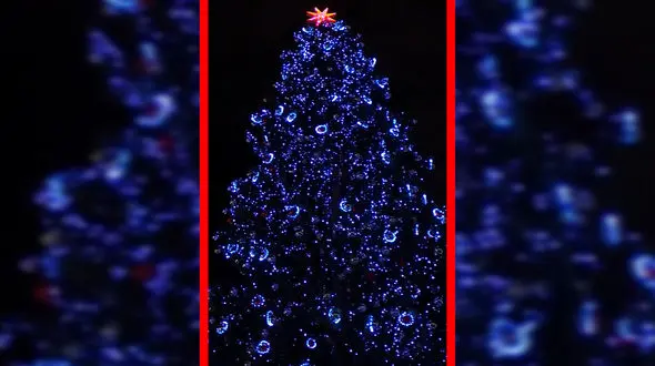 فیلم روشن شدن درخت کریسمس واتیکان