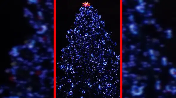 فیلم روشن شدن درخت کریسمس واتیکان