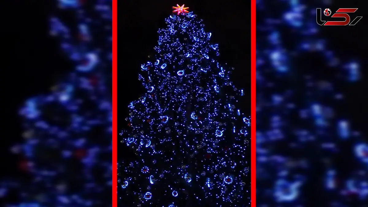 فیلم روشن شدن درخت کریسمس واتیکان